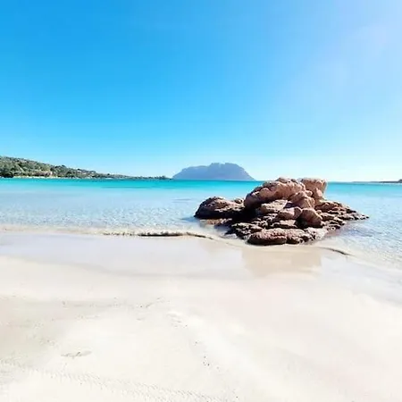 Splendido Open Space In Veronica Casa vacanze Porto Istana